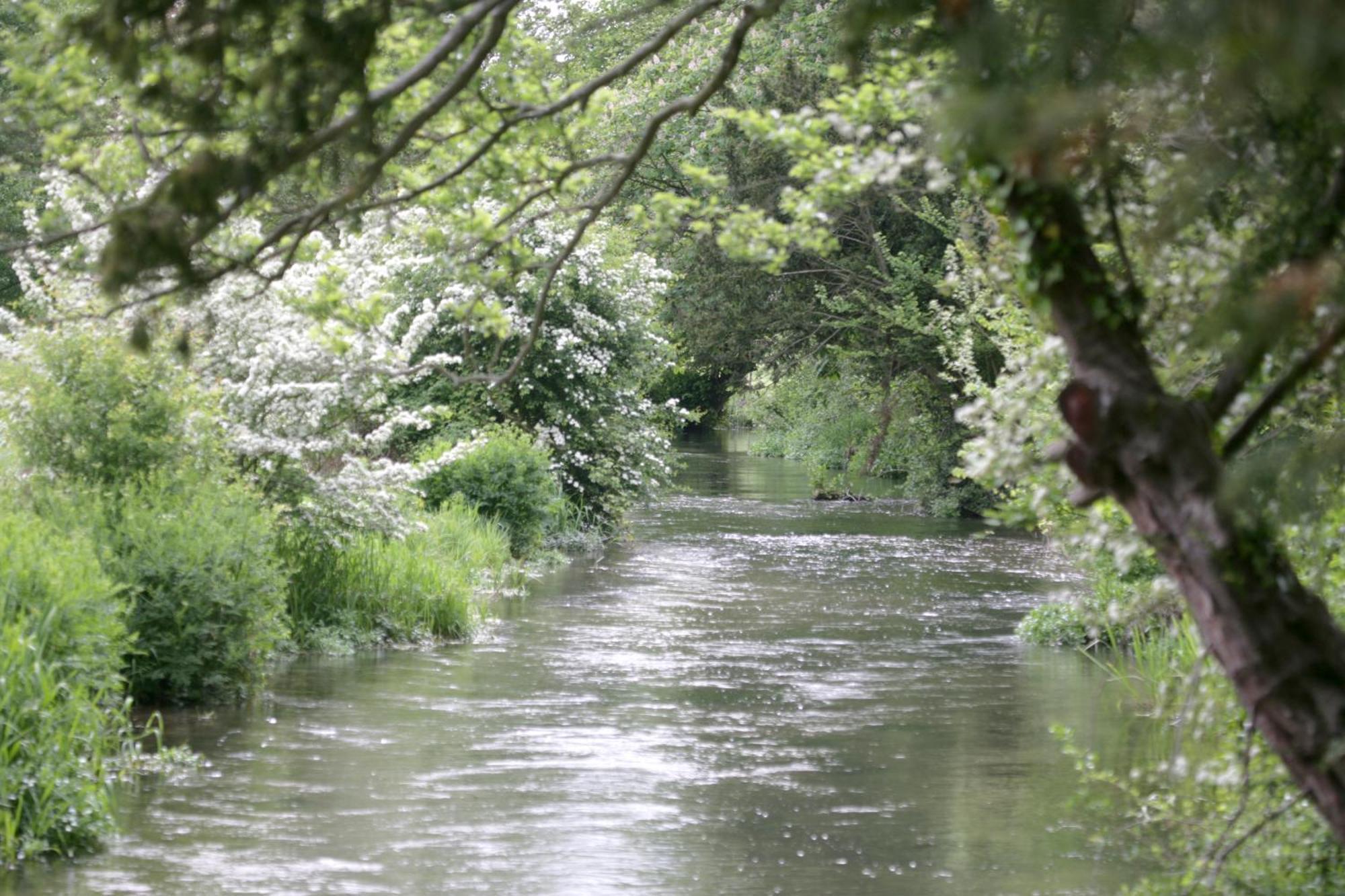 Гостевой дом Donnington Grove Ньюбери Экстерьер фото